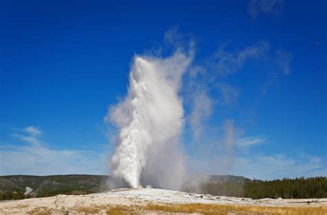 old faithful webcam|Old Faithful Geyser